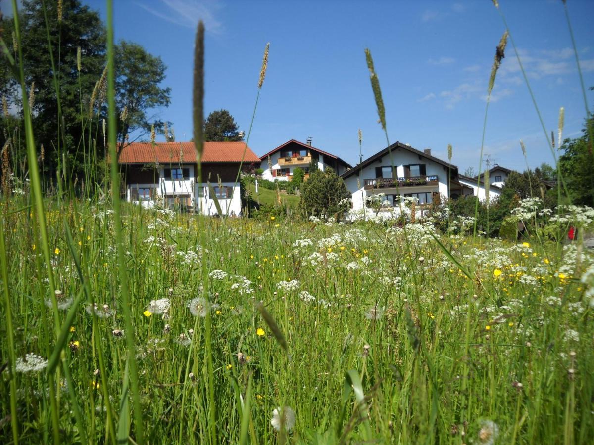 Apartamento Im- Oberland - Berg - Koenigscard Bad Kohlgrub Exterior foto