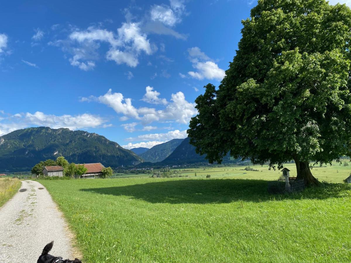 Apartamento Im- Oberland - Berg - Koenigscard Bad Kohlgrub Exterior foto